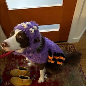 Meet your Posher, Sarajane